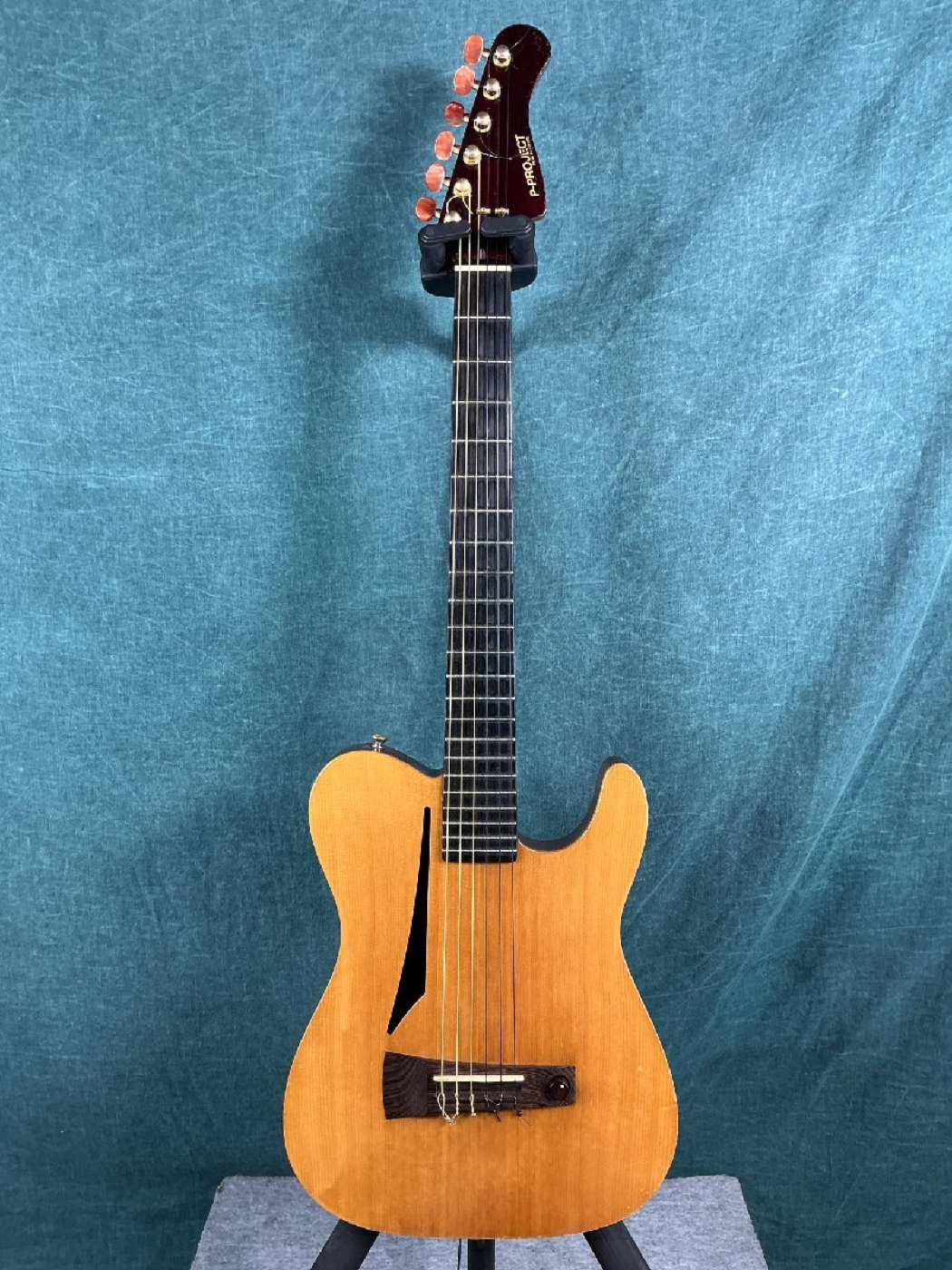 Fernandes P-Project AI-N